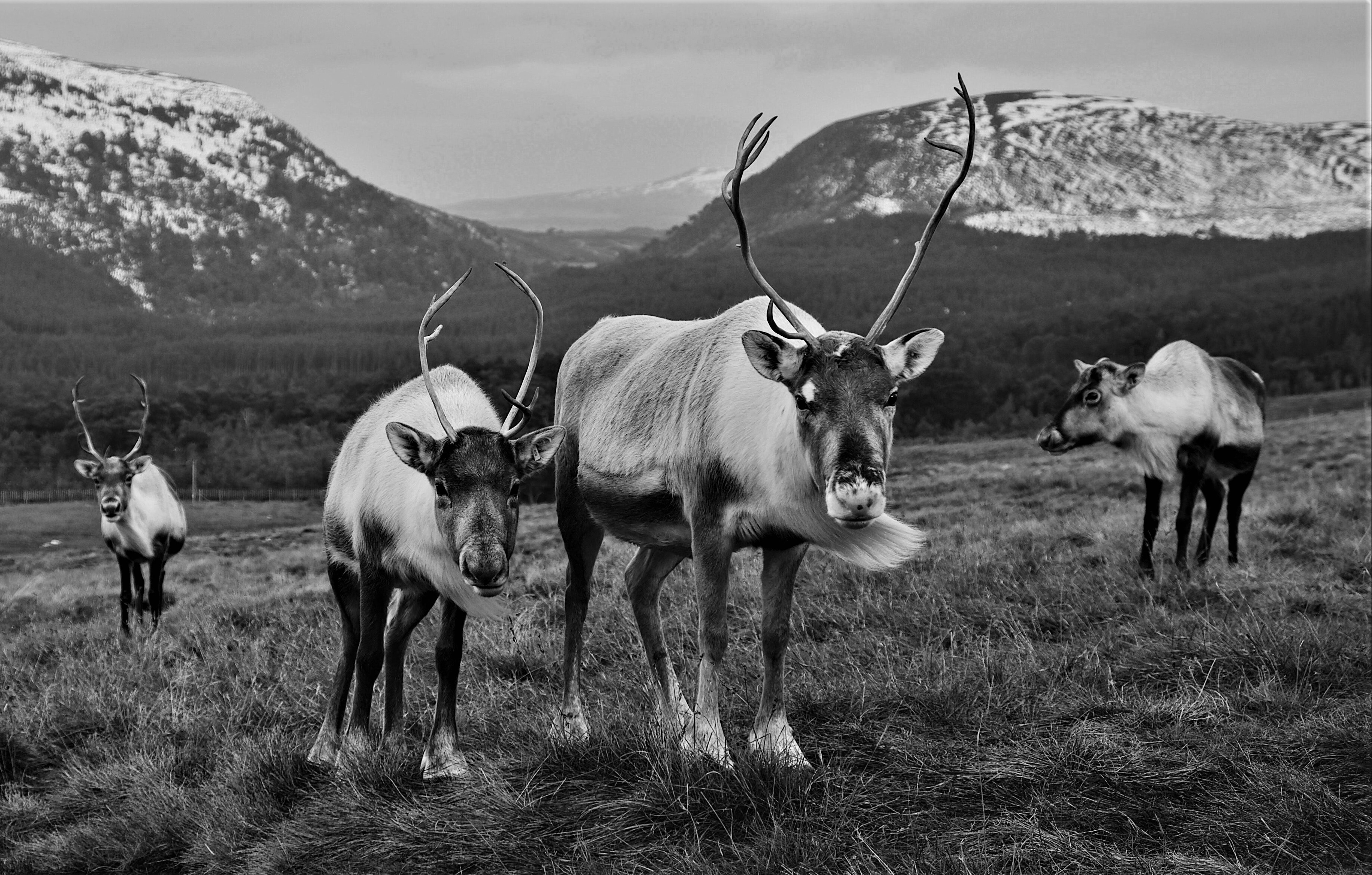 joe-green-LKwo0PfwSTs-unsplash