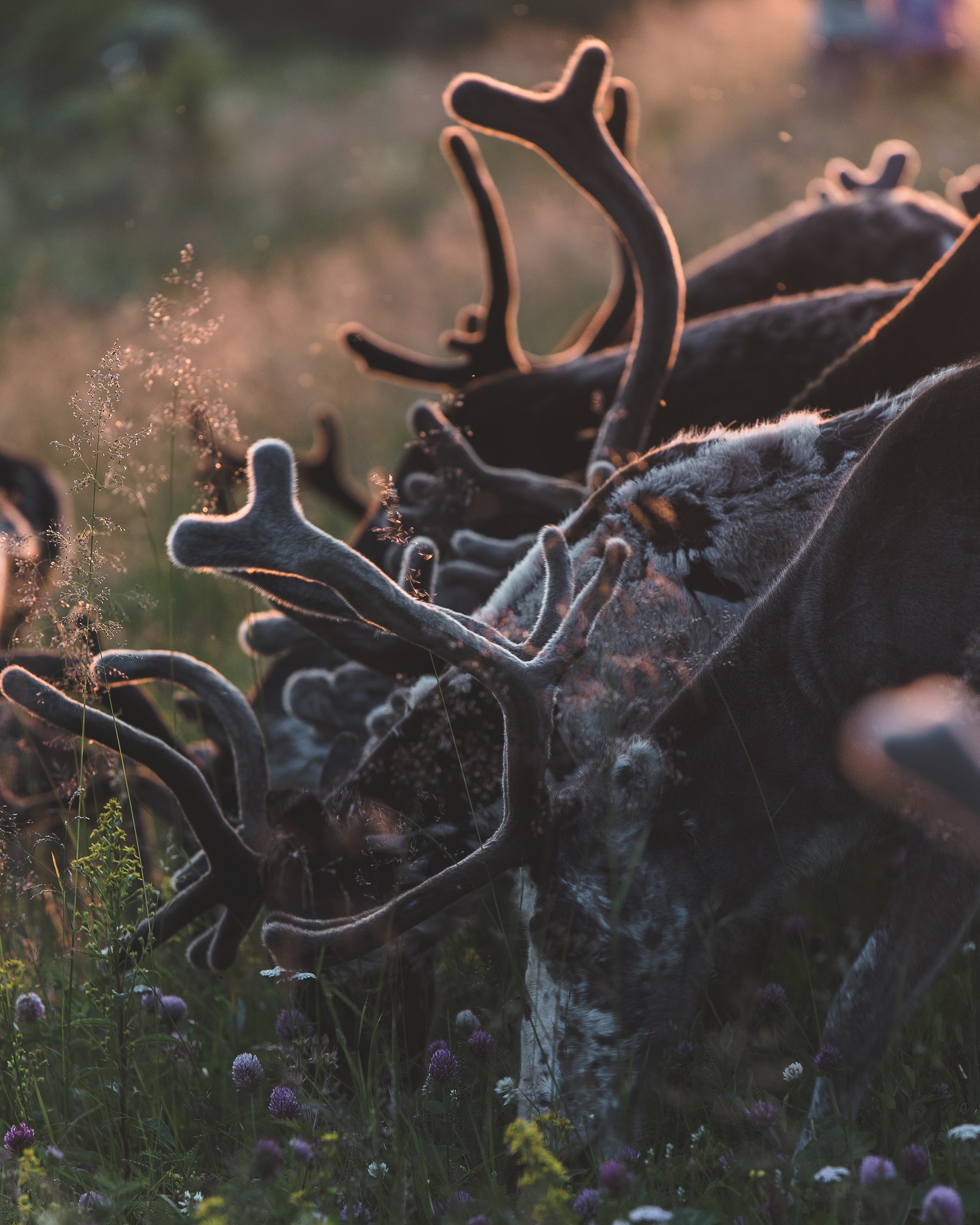 martin-edholm-EzAhT2CjWbY-unsplash