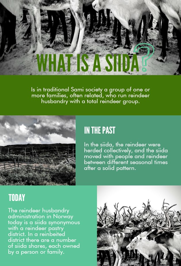 new-piktochart_21992030_c057e45735edd429429fc79b3520319dfbdf63ee