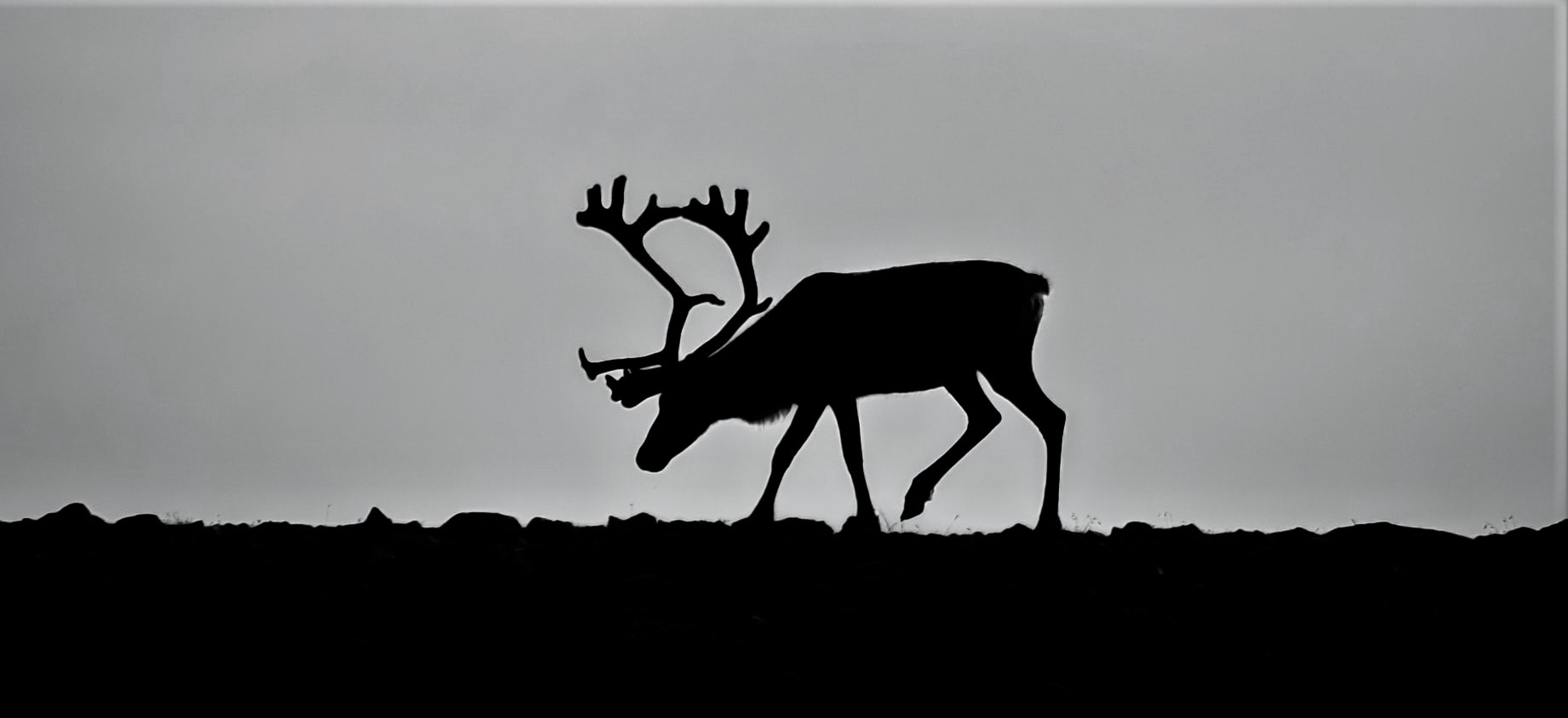 sebastien-goldberg-BVF0s52dZFI-unsplash