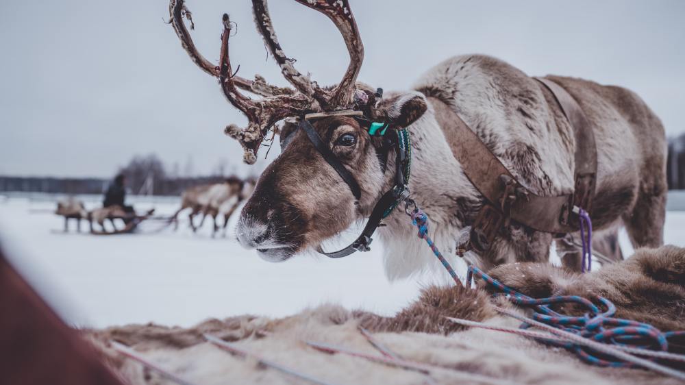 arseny-togulev-L7L3DdIchzc-unsplash (1)